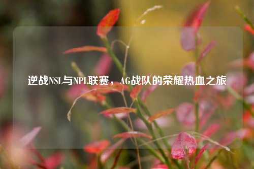 逆战NSL与NPL联赛,AG战队的荣耀热血之旅