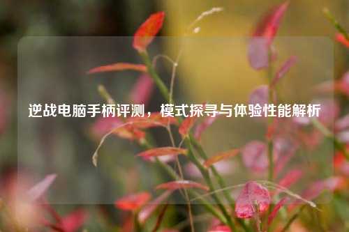 逆战电脑手柄评测,模式探寻与体验性能解析