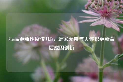 Steam更新速度仅几B,玩家无奈与大体积更新背后成因剖析