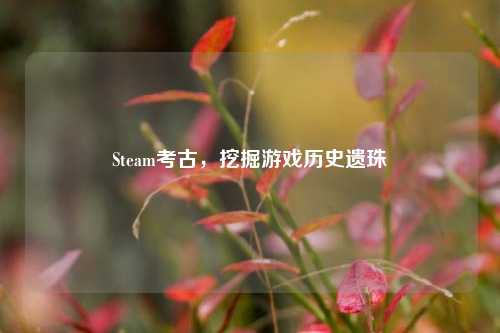 Steam考古,挖掘游戏历史遗珠