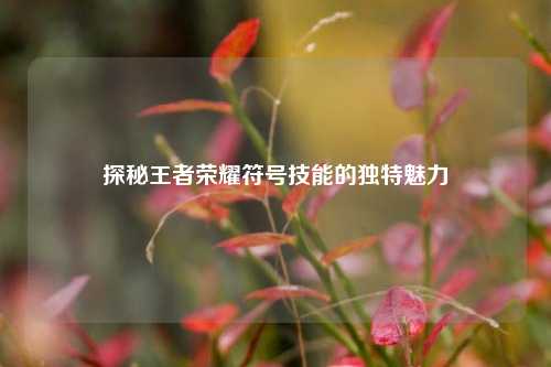探秘王者荣耀符号技能的独特魅力
