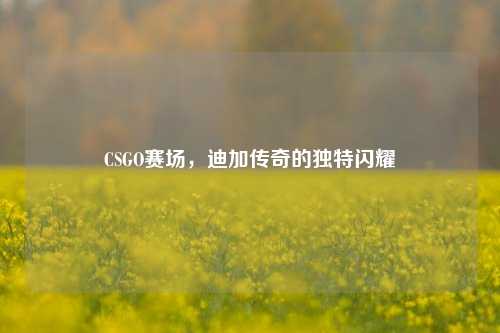CSGO赛场,迪加传奇的独特闪耀