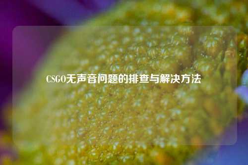 CSGO无声音问题的排查与解决 ***