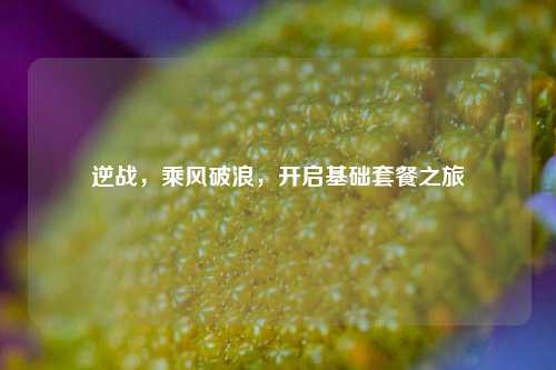 逆战,乘风破浪,开启基础套餐之旅