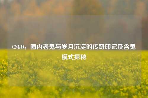 CSGO,圈内老鬼与岁月沉淀的传奇印记及含鬼模式探秘