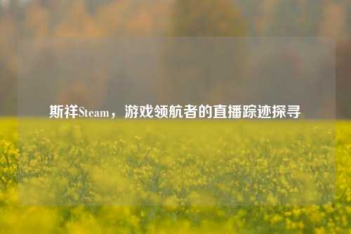 斯祥Steam,游戏领航者的直播踪迹探寻