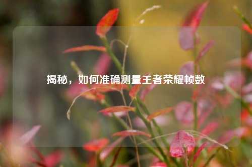 揭秘,如何准确测量王者荣耀帧数