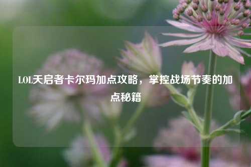LOL天启者卡尔玛加点攻略,掌控战场节奏的加点秘籍