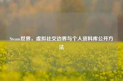 Steam世界,虚拟社交边界与个人资料库公开 ***