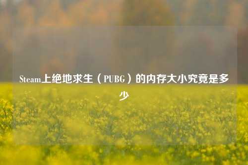 Steam上绝地求生(PUBG)的内存大小究竟是多少
