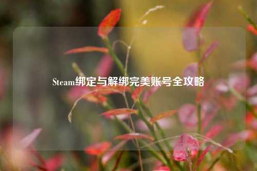 Steam绑定与解绑完美账号全攻略