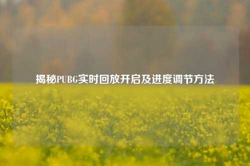 揭秘PUBG实时回放开启及进度调节 ***