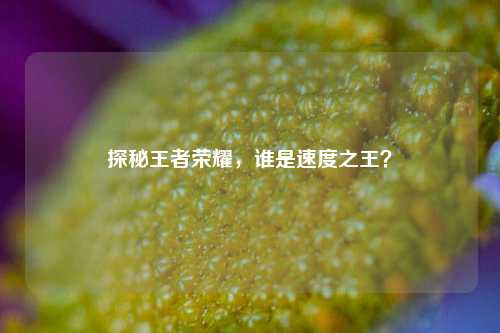 探秘王者荣耀,谁是速度之王?