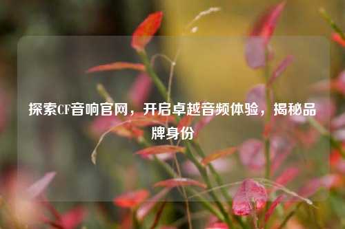 探索CF音响官网,开启卓越音频体验,揭秘品牌身份