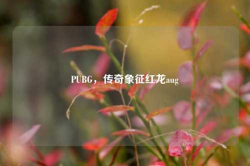 PUBG,传奇象征红龙aug