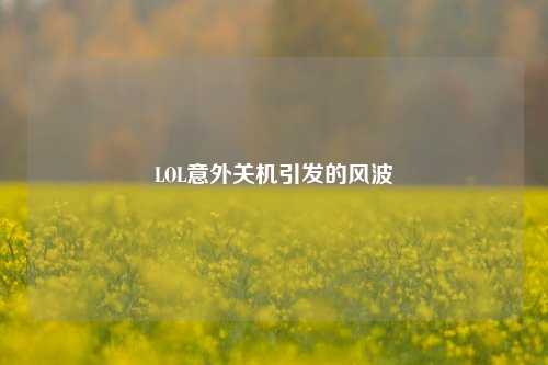 LOL意外关机引发的风波