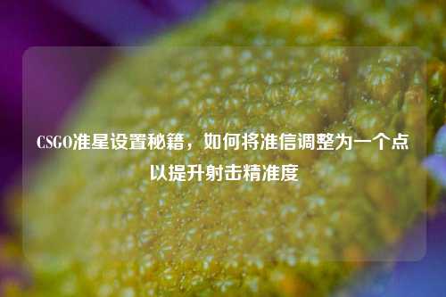 CSGO准星设置秘籍,如何将准信调整为一个点以提升射击精准度