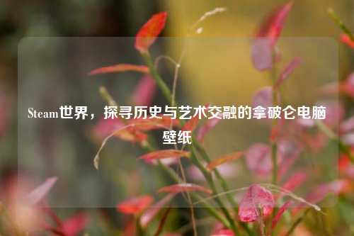 Steam世界,探寻历史与艺术交融的拿破仑电脑壁纸