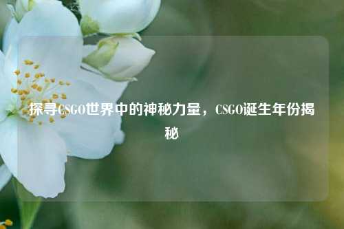 探寻CSGO世界中的神秘力量,CSGO诞生年份揭秘