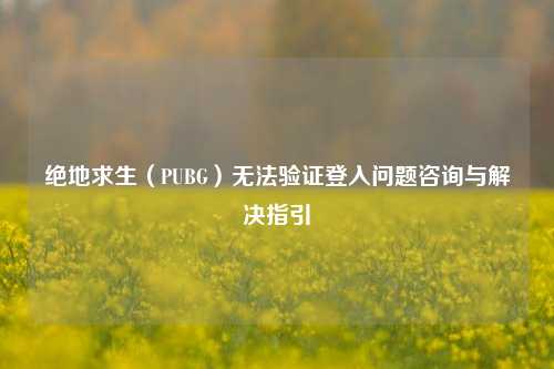 绝地求生(PUBG)无法验证登入问题咨询与解决指引