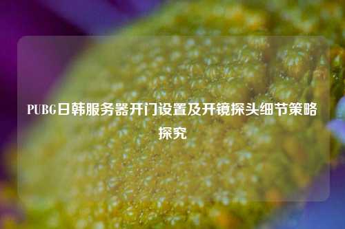PUBG日韩服务器开门设置及开镜探头细节策略探究