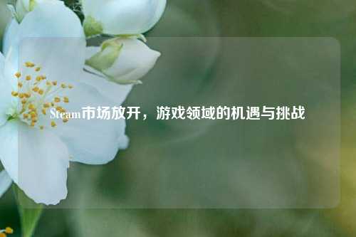 Steam市场放开,游戏领域的机遇与挑战