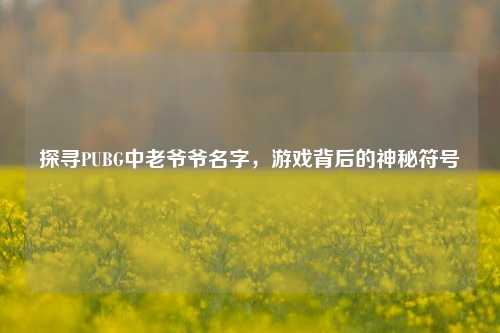 探寻PUBG中老爷爷名字,游戏背后的神秘符号