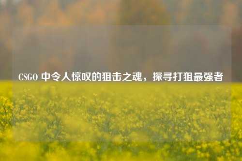 CSGO 中令人惊叹的狙击之魂,探寻打狙最强者