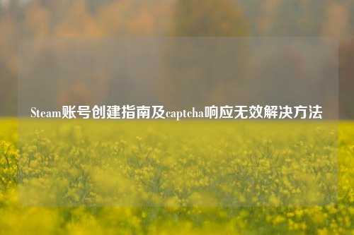 Steam账号创建指南及captcha响应无效解决 ***