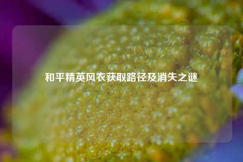和平精英风衣获取路径及消失之谜