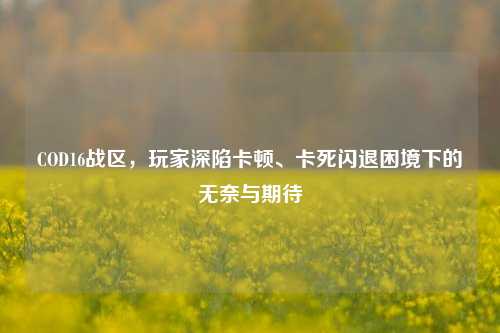 COD16战区,玩家深陷卡顿、卡死闪退困境下的无奈与期待