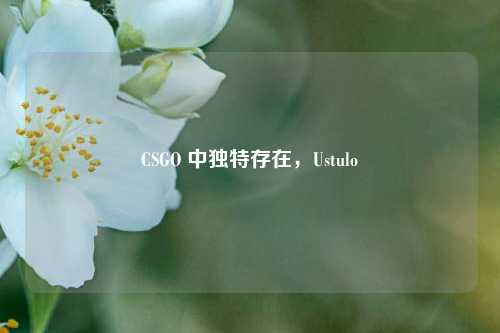 CSGO 中独特存在,Ustulo