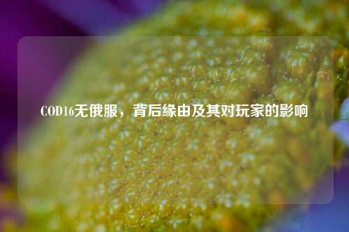 COD16无俄服,背后缘由及其对玩家的影响
