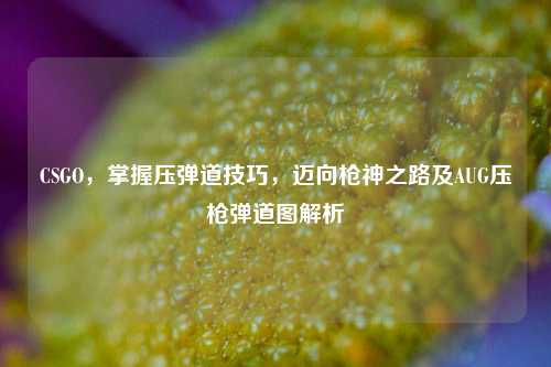 CSGO,掌握压弹道技巧,迈向枪神之路及AUG压枪弹道图解析