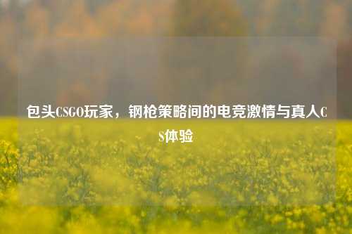 包头CSGO玩家,钢枪策略间的电竞***与真人CS体验