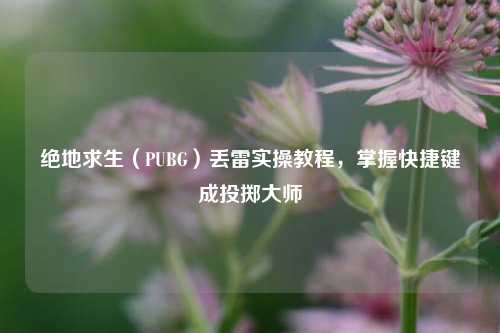 绝地求生(PUBG)丢雷实操教程,掌握快捷键成投掷***