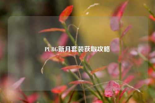 PUBG新月套装获取攻略