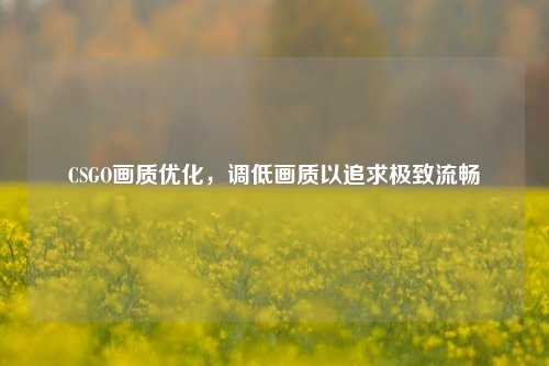 CSGO画质优化,调低画质以追求极致流畅