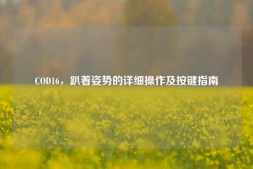 COD16,趴着姿势的详细操作及按键指南