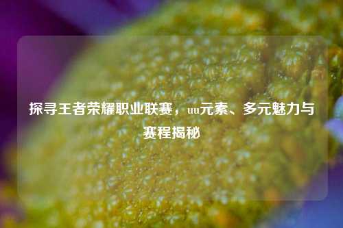 探寻王者荣耀职业联赛,uu元素、多元魅力与赛程揭秘