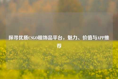探寻优质CSGO租饰品平台,魅力、价值与APP推荐