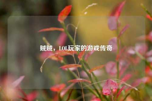 贼贼,LOL玩家的游戏传奇