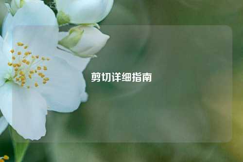 剪切详细指南