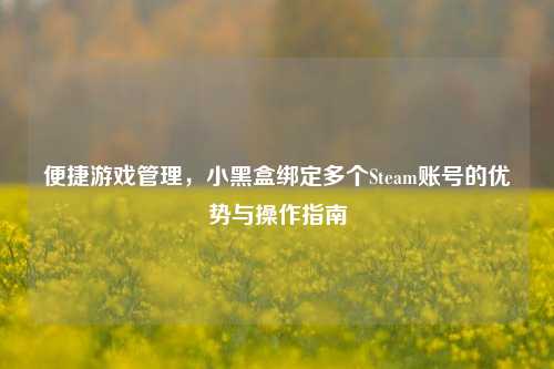 便捷游戏管理,小黑盒绑定多个Steam账号的优势与操作指南
