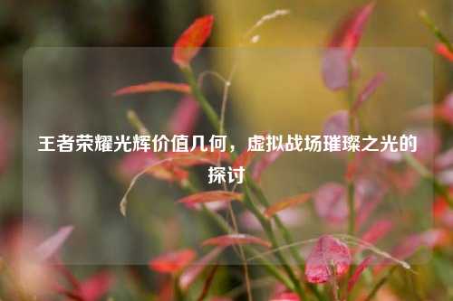 王者荣耀光辉价值几何,虚拟战场璀璨之光的探讨