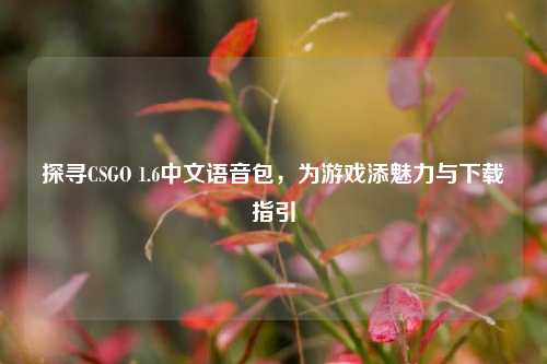 探寻CSGO 1.6中文语音包,为游戏添魅力与下载指引