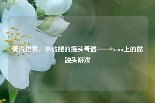 蒸汽世界,小骷髅的接头奇遇——Steam上的骷髅头游戏