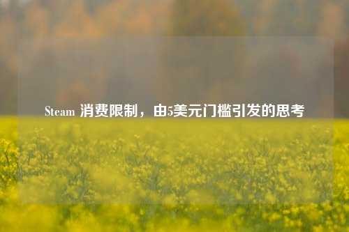 Steam 消费限制,由5美元门槛引发的思考