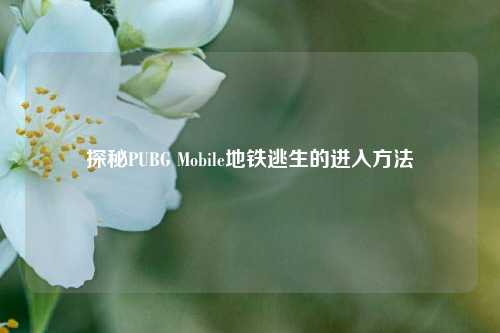 探秘PUBG Mobile地铁逃生的进入 ***