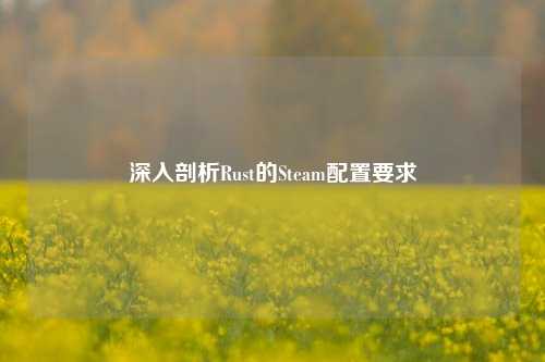 深入剖析Rust的Steam配置要求